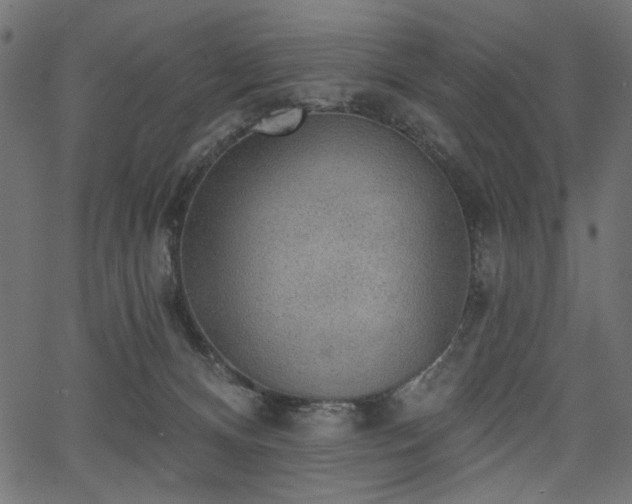X0000067370128200603311155