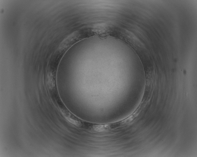 X0000067370136200603311155