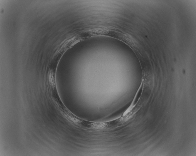 X0000067370143200603311155