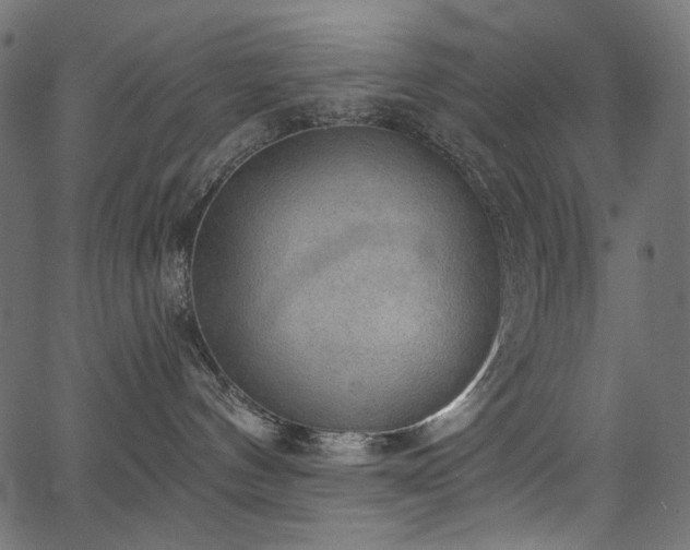 X0000067370144200603311155