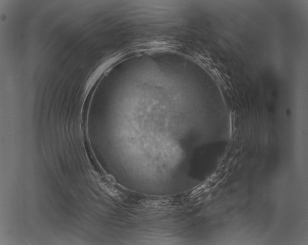 X0000067370147200603311154