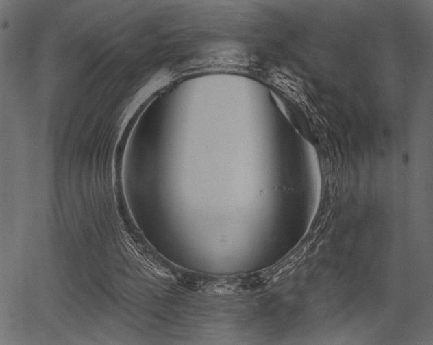 X0000067370148200603311154