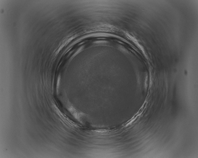 X0000067370154200603311154