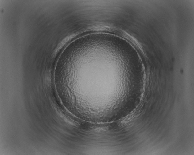 X0000067370155200603311154