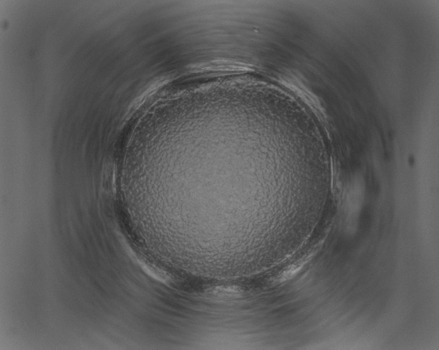 X0000067370157200603311154
