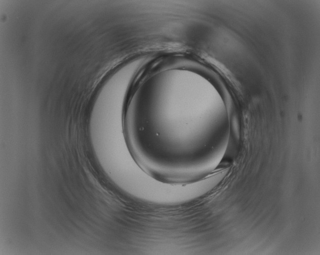 X0000067370164200603311154