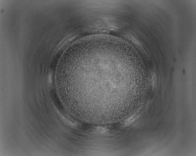 X0000067370166200603311154