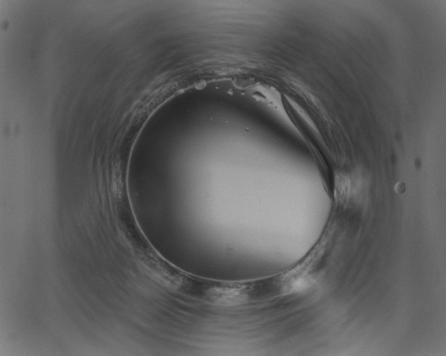 X0000067370170200603311154