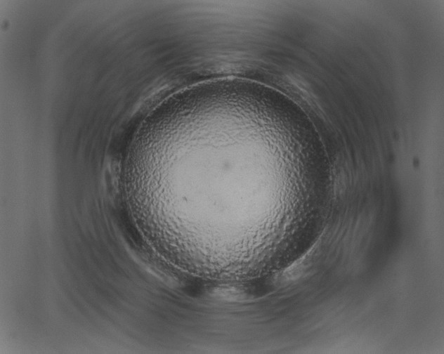 X0000067370171200603311154