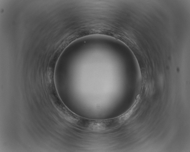 X0000067370174200603311154