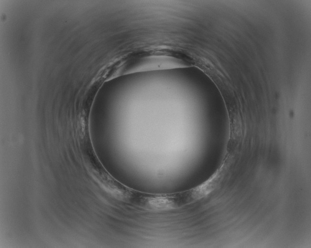 X0000067370183200603311154