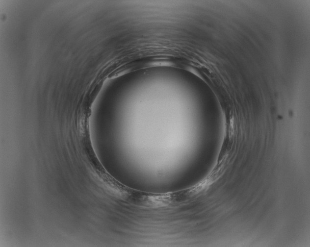 X0000067370188200603311154