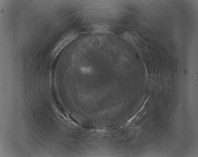 X0000067370194200603311154