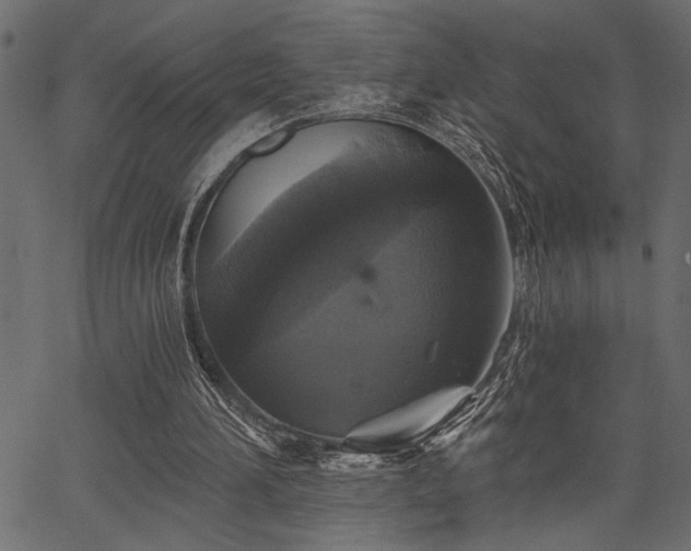 X0000067370196200603311154