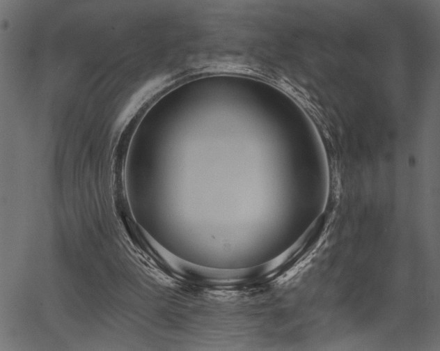 X0000067370199200603311154
