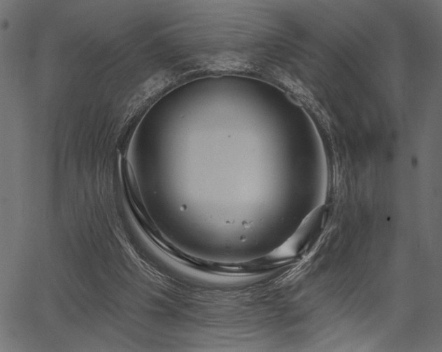 X0000067370201200603311154