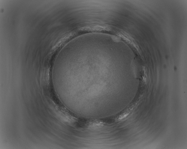 X0000067370206200603311154