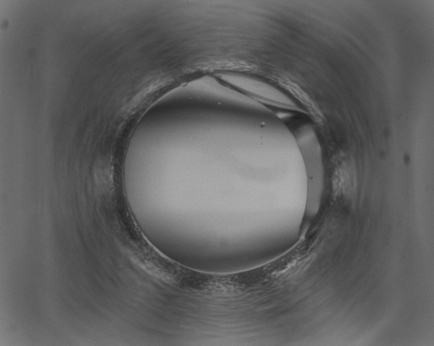 X0000067370207200603311154