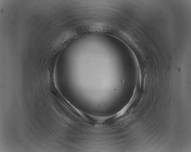 X0000067370211200603311153