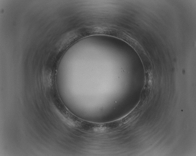X0000067370216200603311153