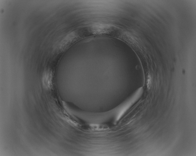 X0000067370219200603311153