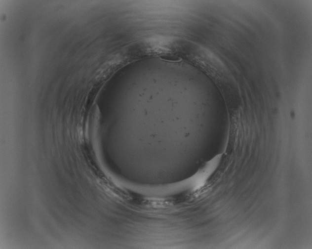 X0000067370223200603311153