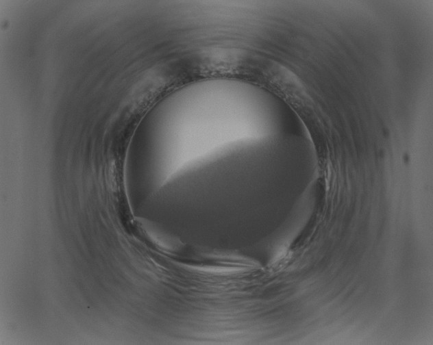 X0000067370224200603311153