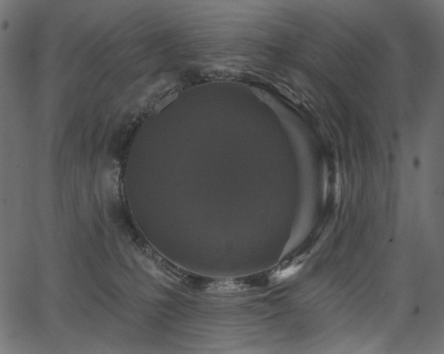 X0000067370231200603311153