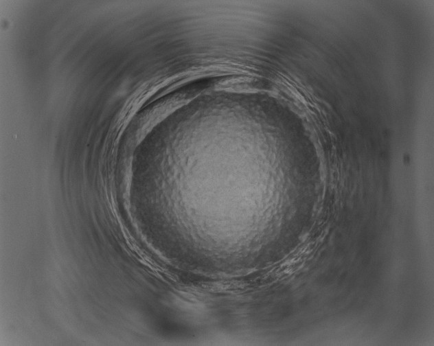 X0000067370241200603311152
