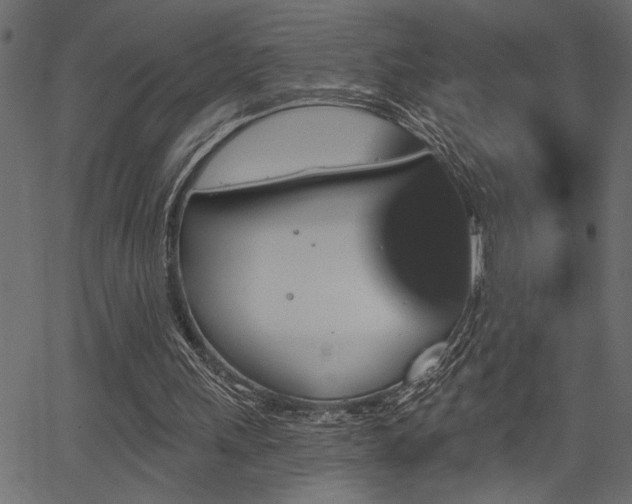 X0000067370243200603311152