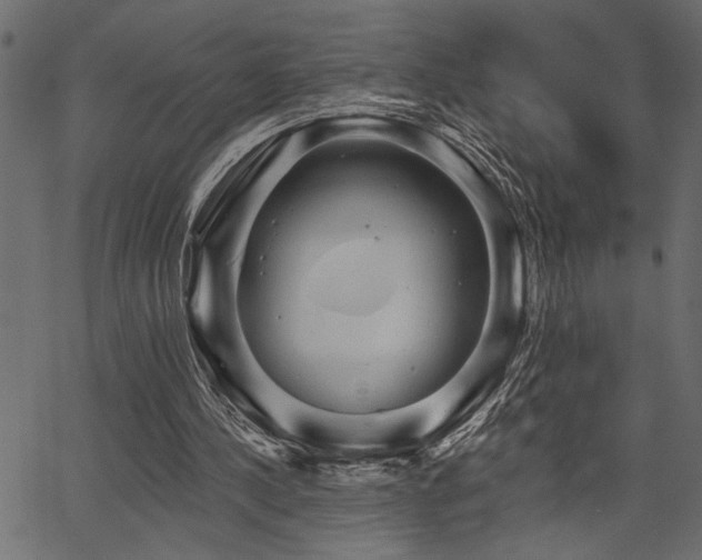 X0000067370244200603311152