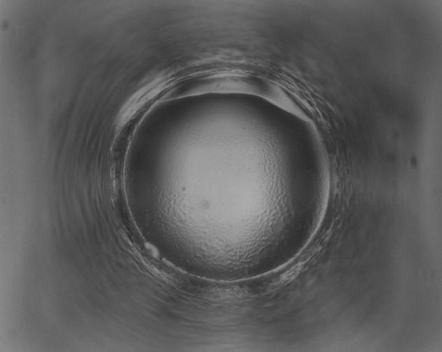 X0000067370245200603311152