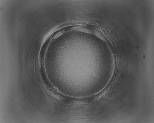 X0000067370246200603311152