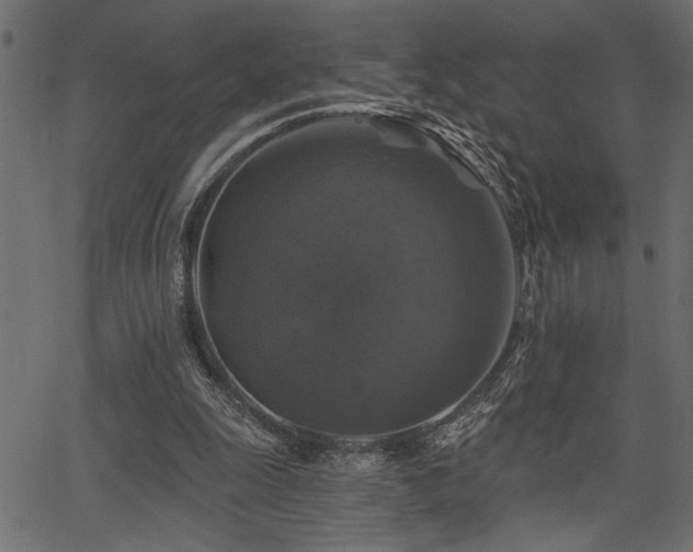 X0000067370247200603311152
