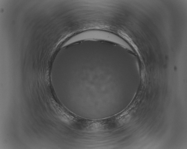 X0000067370249200603311152