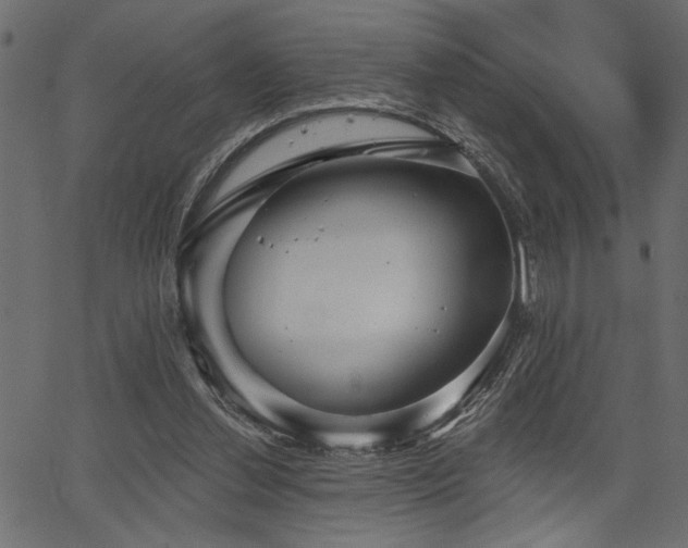 X0000067370252200603311152