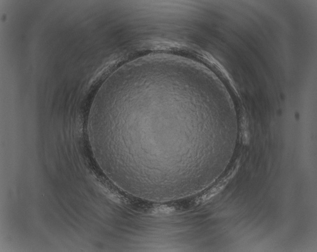 X0000067370257200603311152