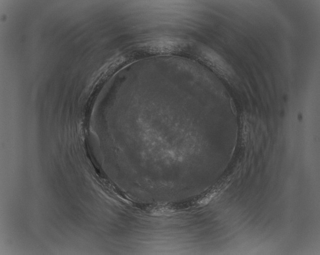 X0000067370258200603311152