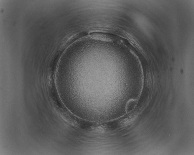 X0000067370259200603311152
