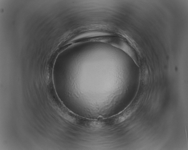 X0000067370261200603311153