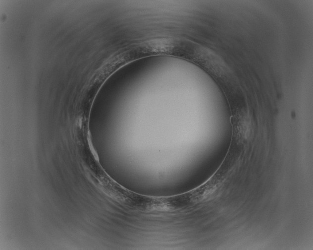 X0000067370262200603311153