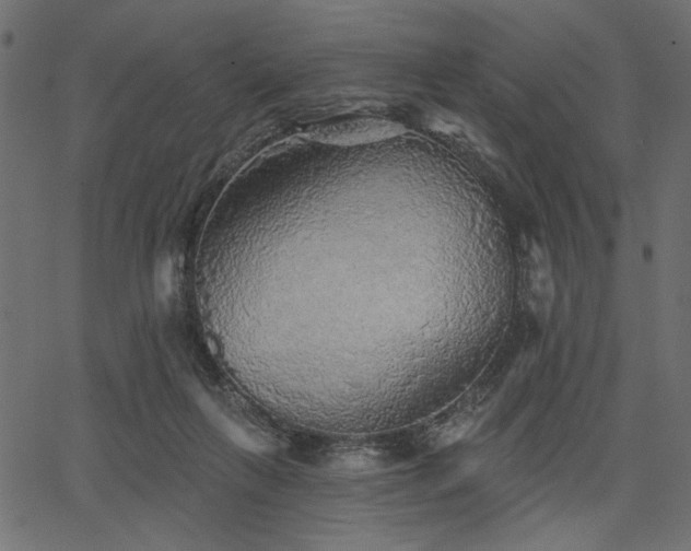 X0000067370263200603311153