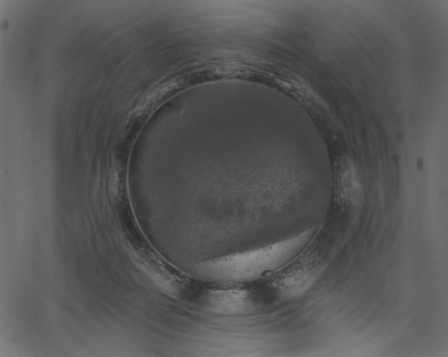 X0000067370266200603311153