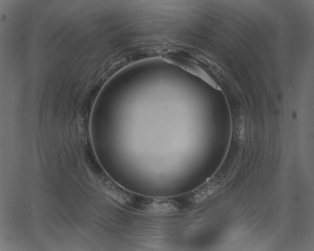 X0000067370270200603311153