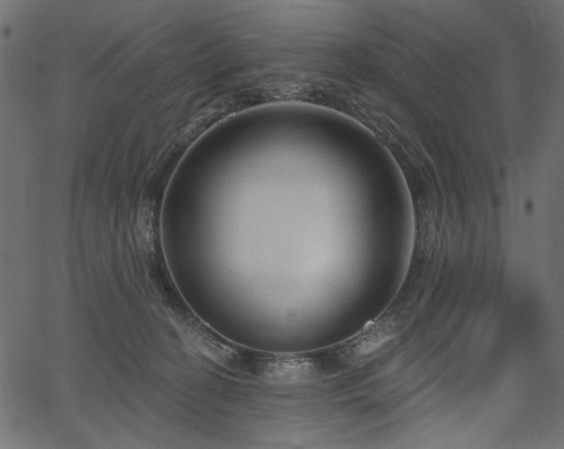 X0000067370274200603311153