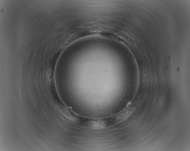 X0000067370275200603311153