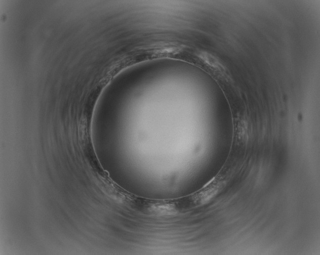 X0000067370283200603311153