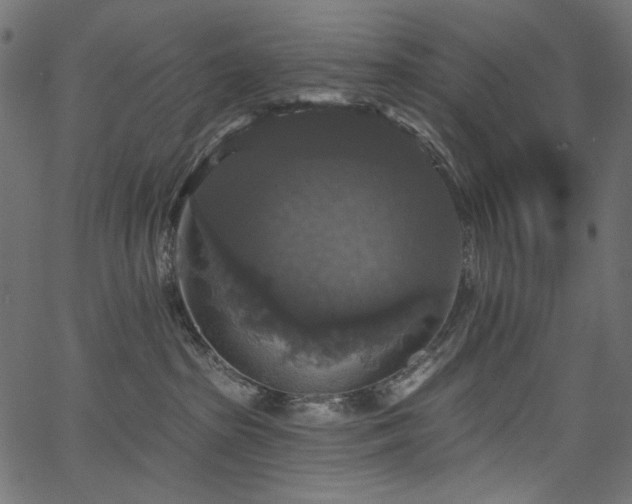 X0000067370285200603311153
