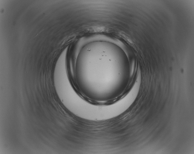 X0000067370287200603311153