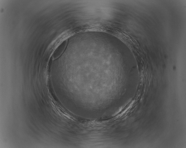 X0000067370290200603311152